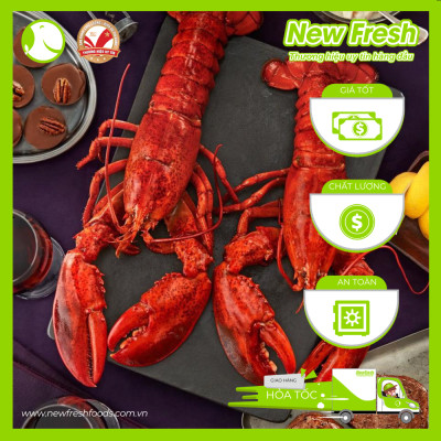 [GIAO NHANH HCM] Tôm Hùm Baby Canada Hấp - 1 Con