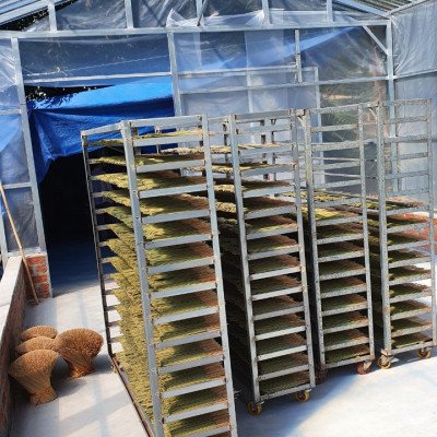 Nhang sạch Dương Minh hộp 180cây 30cm 100% thành phần tự nhiên hương nhang dịu nhẹ ít khói dùng thờ cúng thắp hương, thư giãn, thanh lọc không khí