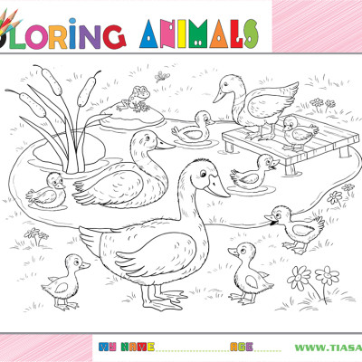 Xếp hình Tia Sáng Đàn vịt (30 Mảnh Ghép) - Tặng kèm tranh tô màu cho bé