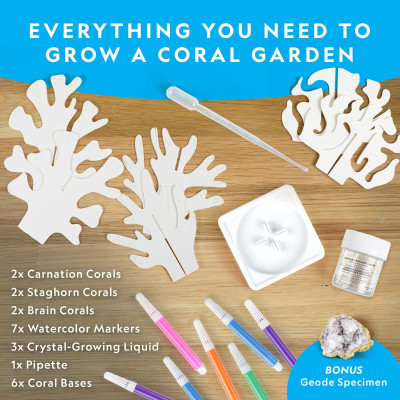 Đồ Chơi Bộ Thí Nghiệm Nuôi San Hô Tinh Thể Nat Geo STEAM RTCRYSHAB