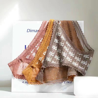 Combo 5 quần lót nữ thun dệt in hình gấu phối ren 409 – Co giãn 4 chiều, siêu mềm mại