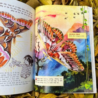 Sách - Bộ Sinh vật học kỳ thú - Những cư dân tí hon của rừng Việt Nam (02 cuốn lẻ)