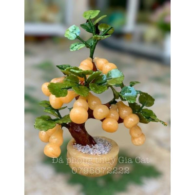 cây hồ lô đá ngọc hoàng long phong thuỷ