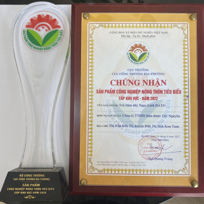 Trà sâm dây Ngọc Linh DATO 25 gói x2g, Trà túi lọc, Tăng cường sức khỏe, giảm căng thẳng, stress, ngăn ngừa ung thư