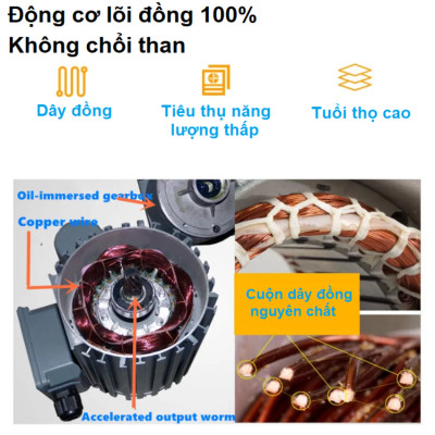 Máy ép dầu thực vật công nghiệp thương hiệu Mỹ cao cấp Septree S9S - Hàng Chính Hãng