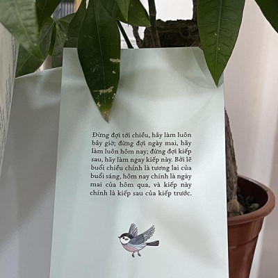 Sách - Thế giới rất huyên náo, là chính mình được rồi (Nhã Nam HCM)