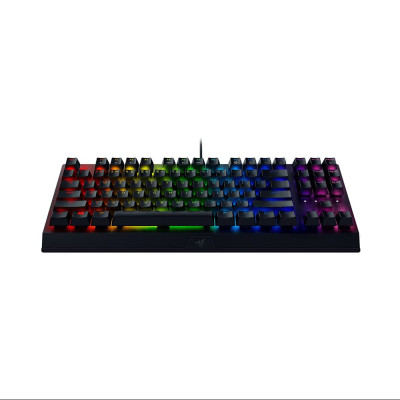 [Mới, hàng chính hãng] Bàn phím Razer Blackwidow V3 Tenkeyless-Mechanical-US Layout