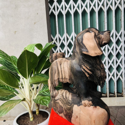 Tượng con chó phong thủy hàng đẹp bằng gỗ mun liền khối kt cao 38×32×15cm