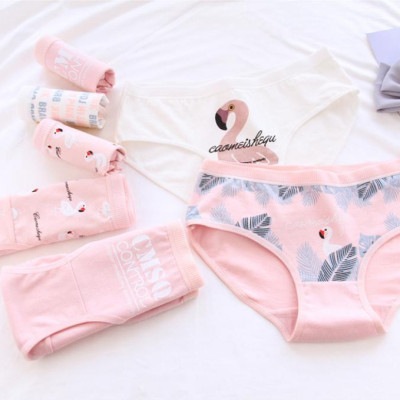 5 quần lót nữ tam giác cotton hình thiên nga