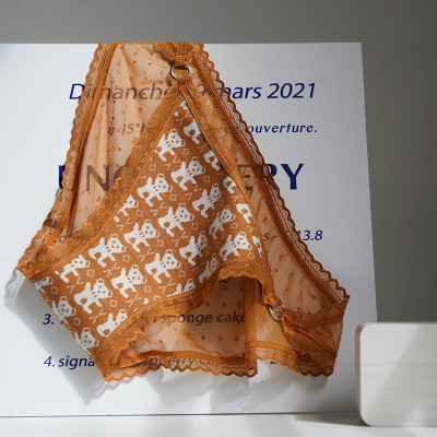 Combo 5 quần lót nữ thun dệt in hình gấu phối ren 409 – Co giãn 4 chiều, siêu mềm mại