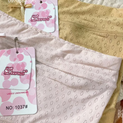 Combo 5 quần lót nữ thun trơn thông hơi 1037 — Quần lót cotton co giãn, thoáng mát, ôm vừa (5 màu)