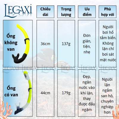 Ống Thở Bơi Lặn Biển Ngắm San Hô Đáy Biển Dã Ngoại Picnic