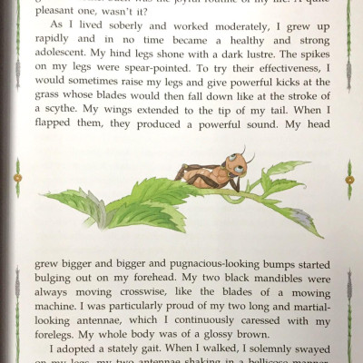 Sách ngoại văn: Diary Of A Cricket (Tái Bản 2024)