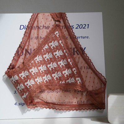 Combo 5 quần lót nữ thun dệt in hình gấu phối ren 409 – Co giãn 4 chiều, siêu mềm mại