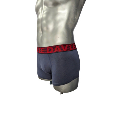 Quần Lót Nam Thương Hiệu Davie Boxer Dv2205 Bản Lưng 4.0 Cm Mạnh Mẽ Và Chắc Chắn