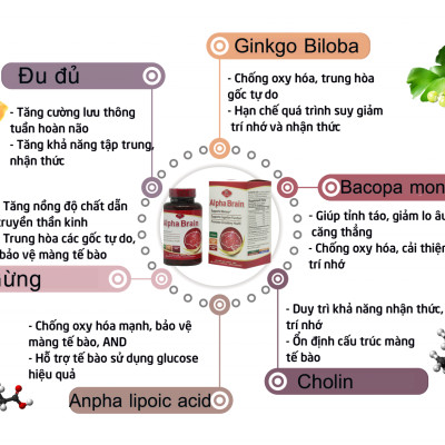 Viên uống bổ não Alpha Brain Olympian Labs Mỹ 60 viên chứa ginkgo biloba giúp tăng cường tuần hoàn não
