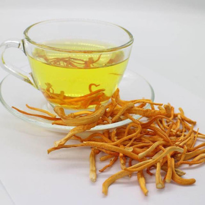 Đông Trùng Hạ Thảo Khô TAKICHI (25 gram)