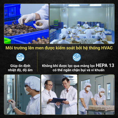 Tỏi Đen Kim Cương Đông Á - Tỏi Đen Cô Đơn (Túi 200g)