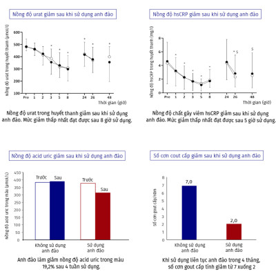 ANTAZ - Hỗ trợ hạ acid uric trong máu, ngăn gout tái phát