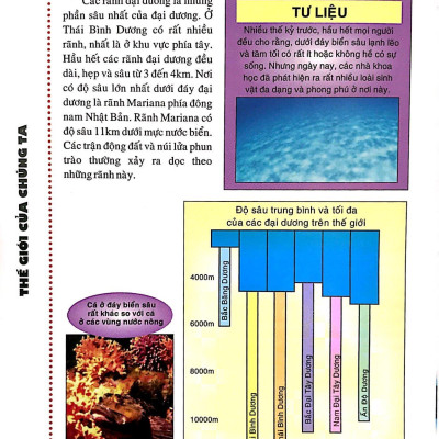 What - Tôi muốn biết cái gì…? (Tái Bản 2016)
