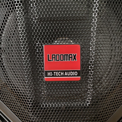 Loa 2 tấc nhựa Ladomax V-S805, nhỏ gọn thích hợp đi du lịch, hát gia đình, hát trong phòng ngủ...-hàng chính hãng