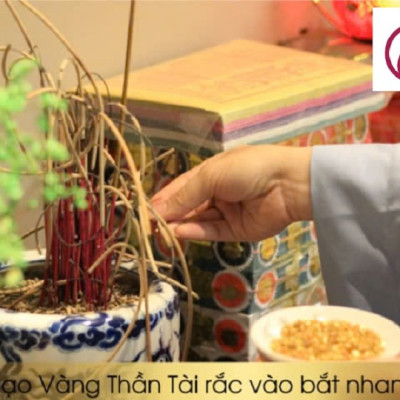 Gạo Vàng Thần Tài - Vật Phẩm Phong Thủy Chiêu Tài Lộc Trên Ban Thờ Thần Tài - Mang May Mắn Cho Ngày Vía Thần Tài Golden Rice