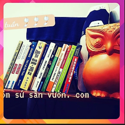 Decor Gốm Đất Nung Kiểu CON CÚ size 15cm X 25cm