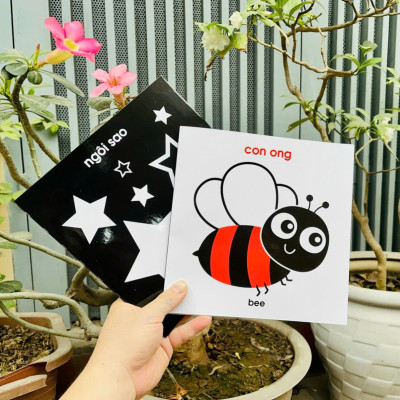 Flashcard - Kích Thích Thị Giác Cho Trẻ Sơ Sinh - Zic zắc