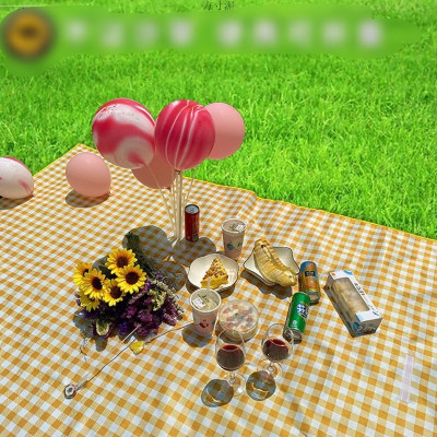 Thảm du lịch gấp gọn , bạt cắm trại chống nước , cao cấp nhỏ gọn ,  họa tiết  sọc caro  , có thể xách tay ,  vô cùng tiện lợi 