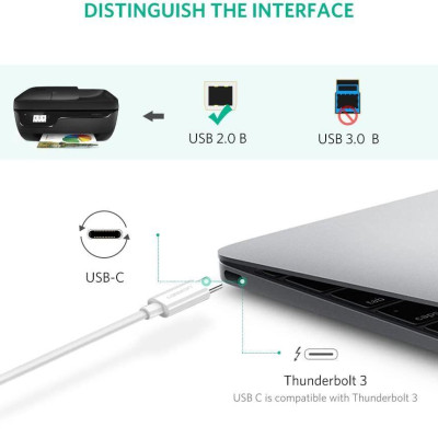 Ugreen UG50446US241TK 2M màu đen cáp USB type C ra Type B 2.0 Printer Scanner - HÀNG CHÍNH HÃNG