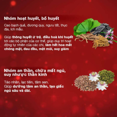 Hoạt huyết Minh Não Khang (Hộp 3 vỉ x 10 viên)