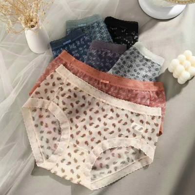 Combo 5 Quần Lót Nữ Voan Hoa Nhí Vintage – Lưng Cao, Big Size 2354