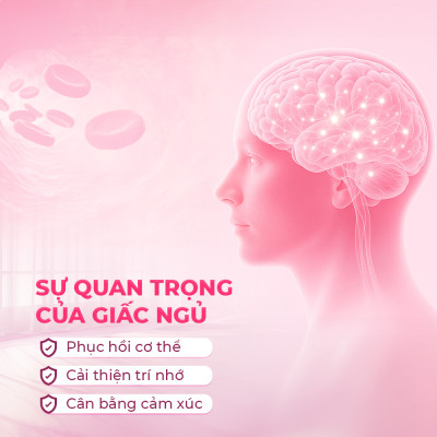 Viên uống cải thiện tình trạng mất ngủ và ngủ kém Powergra Gentle Dreams - Hộp 60 viên
