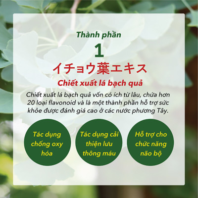 Viên Uống Phòng Ngừa Đột Quỵ, Bổ Não, Giúp Ngủ Ngon Nattokinase 3000FU Natto Ichou Genki Fami Nhật Bản Túi 30 Viên