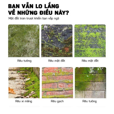 Bột Tẩy Rong Rêu Mạnh – Xử Lý Rong Rêu Lâu Năm, Tường Gạch, Sân Nền Trơn Trượt
