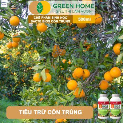 Chế Phẩm Sinh Học Bacte Bios Côn Trùng, Green Home, Chai 500ml, Từ Thảo Mộc, Hiệu Lực Nhanh Mạnh
