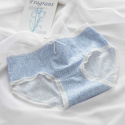 Combo 5 quần lót nữ cotton dễ thương Freesize kẻ xanh da trời (giao màu ngẫu nhiên)