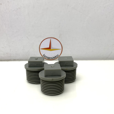 Nắp bịt ren ngoài 34 nhựa PVC Bình Minh ( 10 cái )