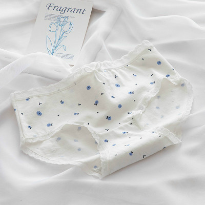 Combo 5 quần lót nữ cotton dễ thương Freesize kẻ xanh da trời (giao màu ngẫu nhiên)