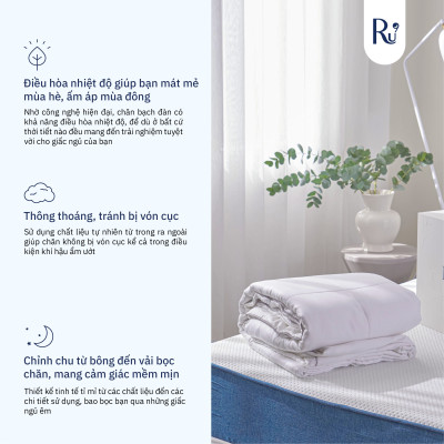 Chăn Bạch Đàn - Eucalytus Duvet (EDUVET) Ru9 100% Từ Thiên Nhiên, Thoáng Mát, Khả Năng Kháng Khuẩn