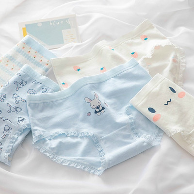 Combo 5 quần lót nữ cotton dễ thương Freesize - Kiểu Thỏ xanh (giao màu ngẫu nhiên)