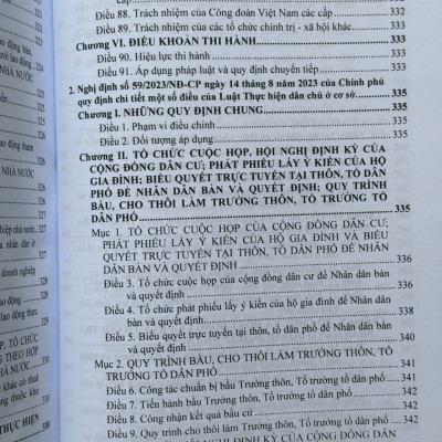 Sách Luật Mặt Trận Tổ Quốc Việt Nam, Luật Công Đoàn, Luật Thanh Niên Và Luật Thực Hiện Dân Chủ Ở Cơ Sở 2025 (V2617T)