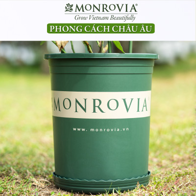 10 Chậu nhựa trồng cây MONROVIA 1 Gl, chậu trồng cây, chậu cây cảnh mini, để bàn, treo ban công, treo tường, cao cấp, chính hãng thương hiệu MONROVIA
