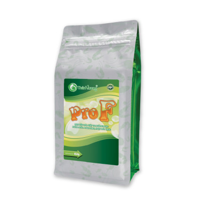 PRO F - Men tiêu hóa giúp ngăn ngừa vấn đề đường ruột