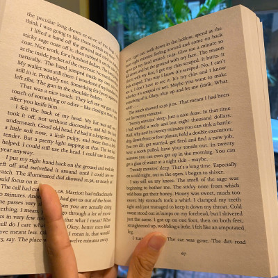 Sách - Farewell, My Lovely by Raymond Chandler | Mystery / Crime Fiction / Ngoại văn Nhập khẩu