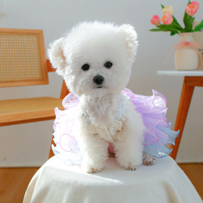 VÁY TÂY ÂU XOÈ SIÊU SANG TRỌNG TỪ 0.5-9KG DÀNH CHO THÚ CƯNG CHÓ MÈO