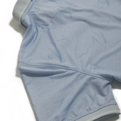 Áo Polo nam Novelty Regular fit NATMINMCLR210087N