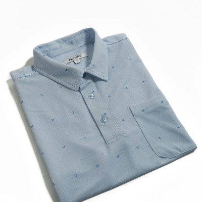 Áo Polo nam Novelty Regular fit NATMINMCLR210069N