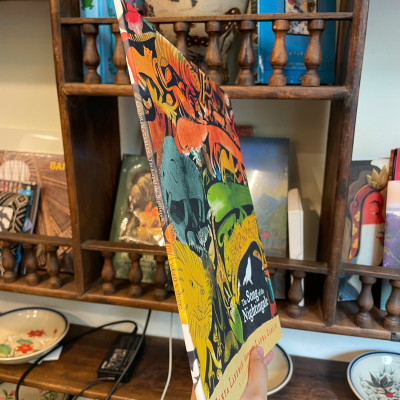 Sách - The Song of the Nightingale by Tanya Landman - Children Picture book in English - Ngoại Văn