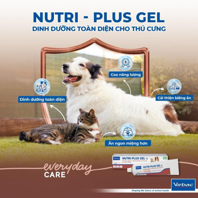 Nutri plus Gel - dinh dưỡng cao cấp cho chó mèo yếu và còi cọc 